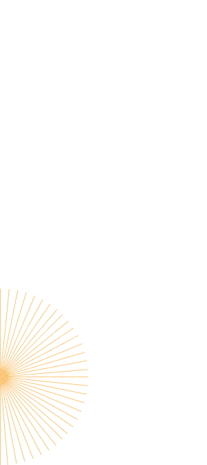 Services for the United States - Waveform and Ray Lines