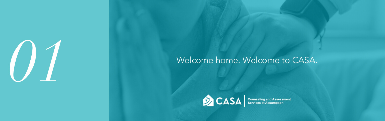 Casa for the United States - Downy Banner 1