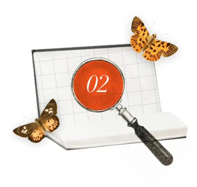 Branding Services for the United States - Magnifying Glass