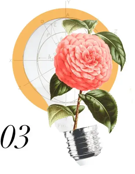 Branding Services for the United States - Flower