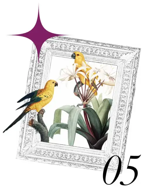 Branding Services for the United States - Picture Frame