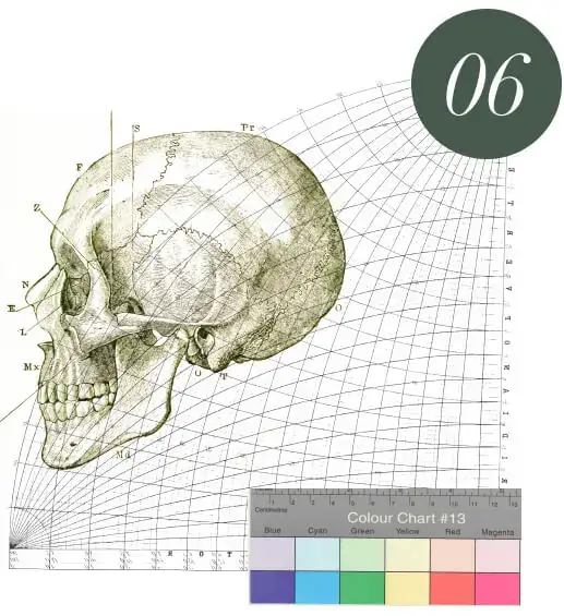 Branding Services for the United States - Skull Structure