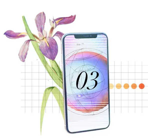 Digital Services for the United States - Phone