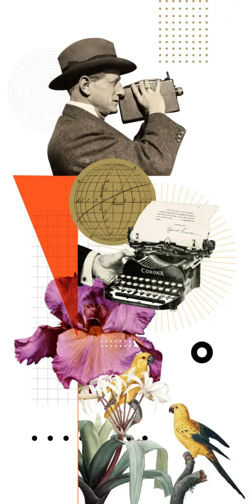 Contact Us for the United States - Collage of Arts