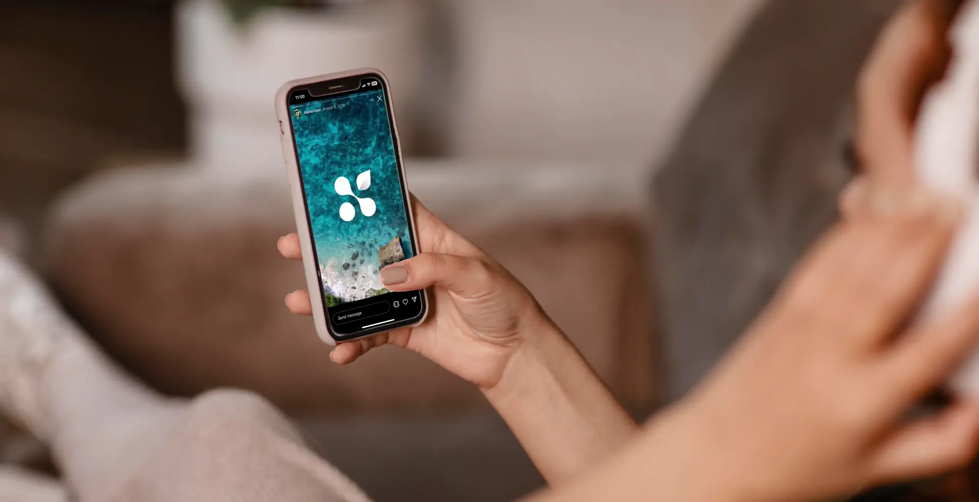 Alpha Ionic Services for the United States - Browsing on the Phone