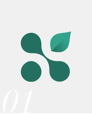 Alpha Ionic Services for the United States - Logo