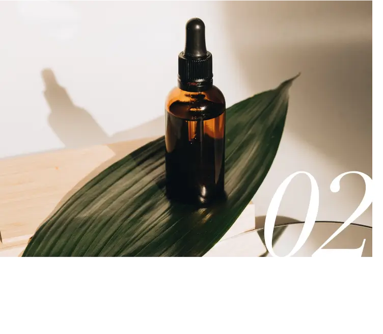 MODEVI Services for the United States - Serum