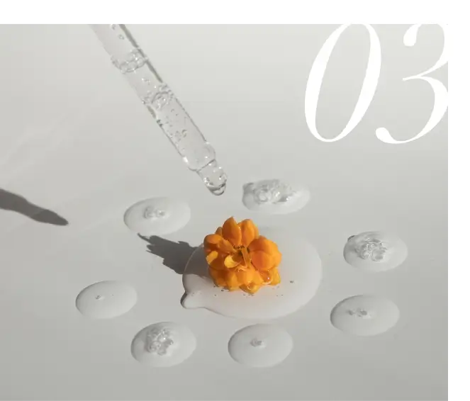 MODEVI Services for the United States - Serum Droplets