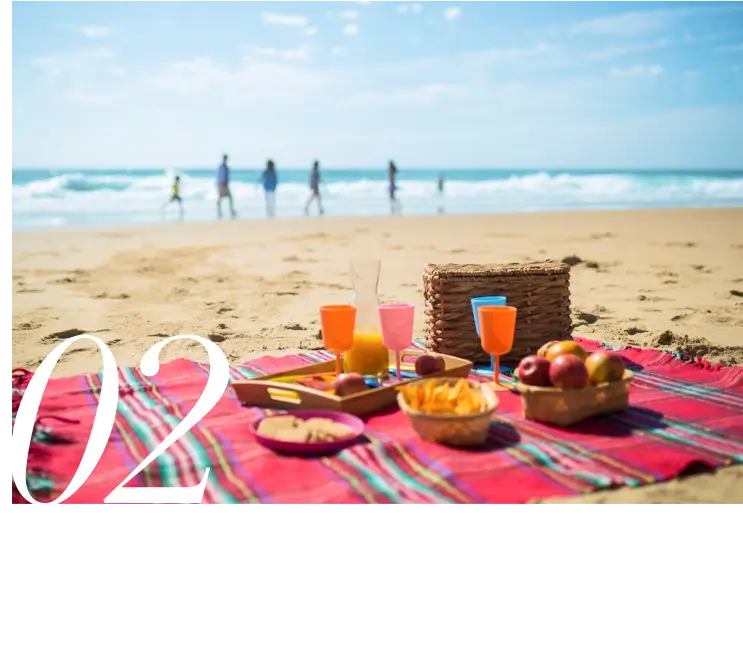 Sun Seekers For the United States - Beach Picnic